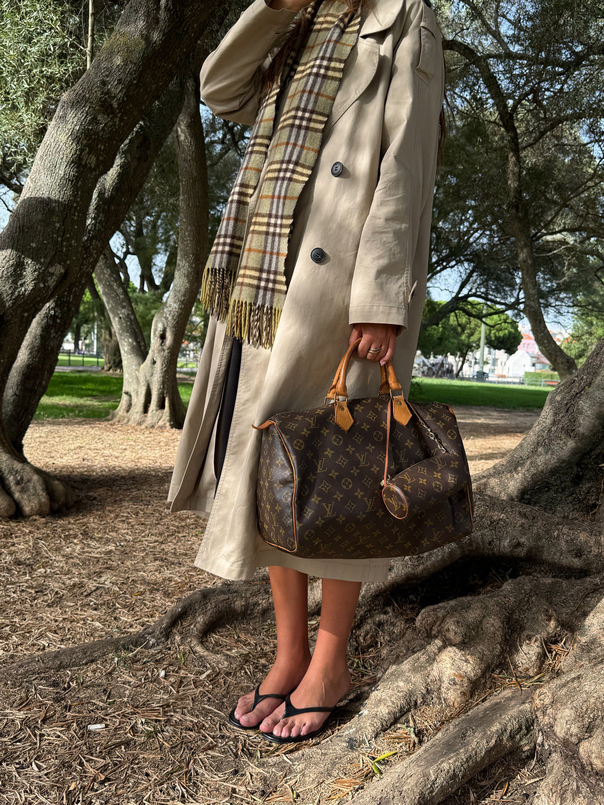 Louis Vuitton  Mini Papillon